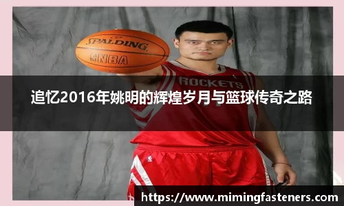 追忆2016年姚明的辉煌岁月与篮球传奇之路